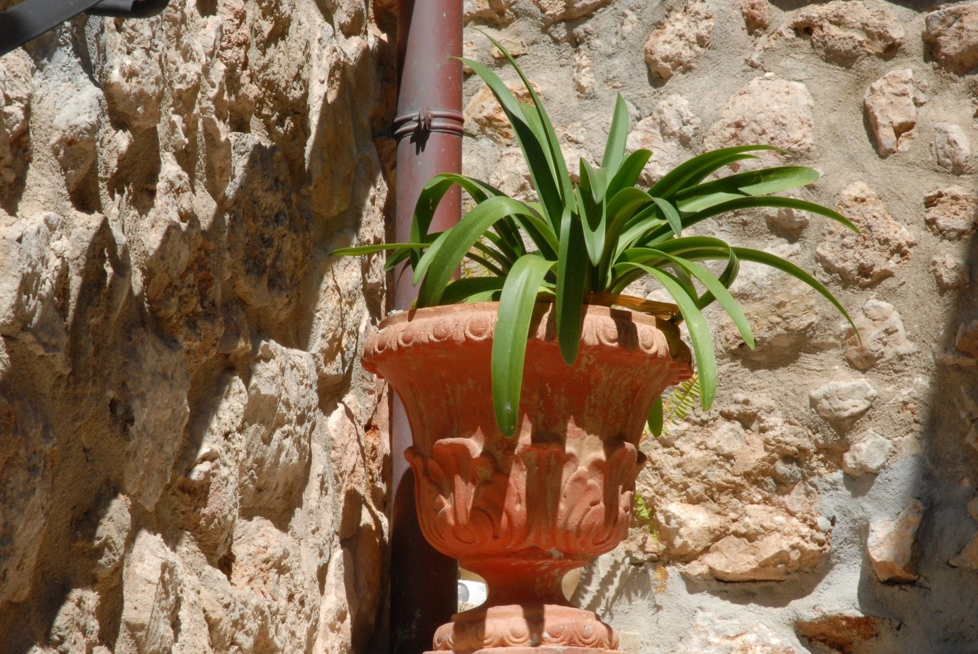 Sa Vall Valldemossa Exterior photo