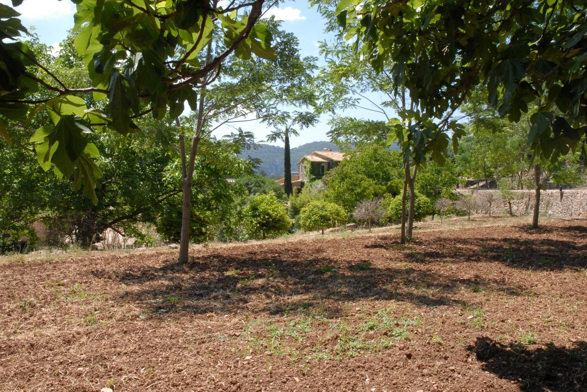 Sa Vall Valldemossa Exterior photo